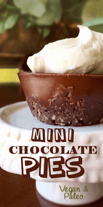 Mini Chocolate Pies | PrettyPies.com