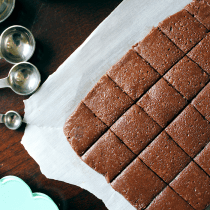 Healthy No-Bake Brownie Bites (Keto, Paleo, Vegan) PrettyPies