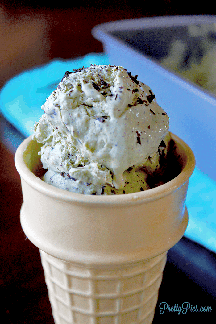 Mint Chip Ice Cream (Dairy-Free, Keto, Vegan, Paleo) PrettyPies