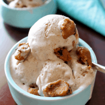 Cookie Dough Ice Cream (Low-Carb, Dairy-Free, Vegan, Paleo) PrettyPies.com
