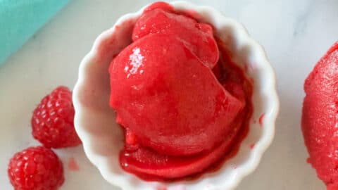 Sugar-Free Raspberry Sorbet Recipe (Only 4 Ingredients!) - The Conscious  Plant Kitchen
