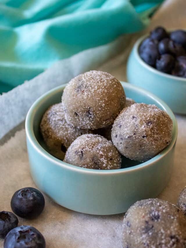 Blueberry Donut Holes (Keto, Paleo, Vegan) Pretty Pies